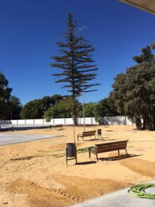CEIP Lo Romero
